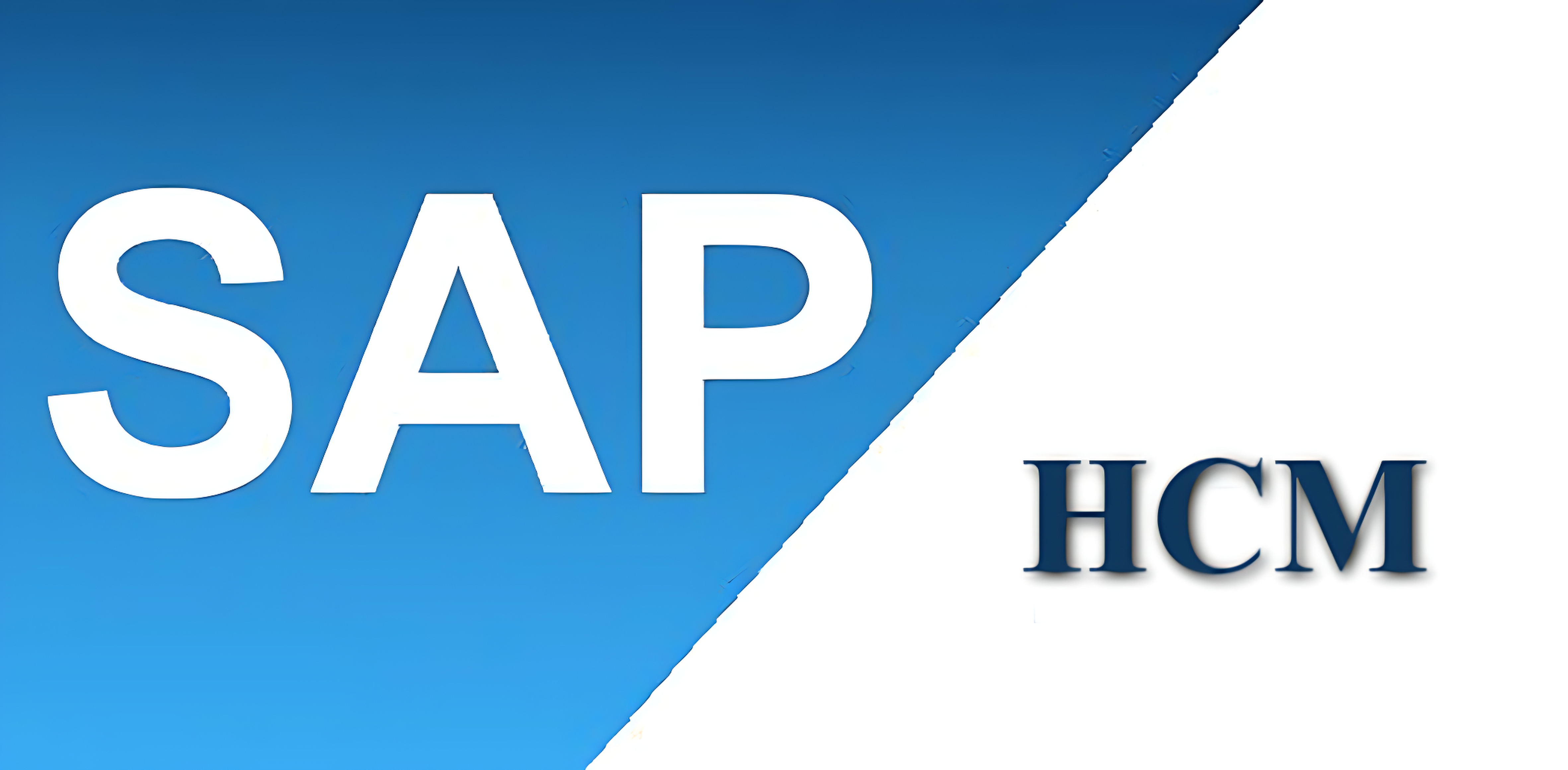 Best SAP HCM in India