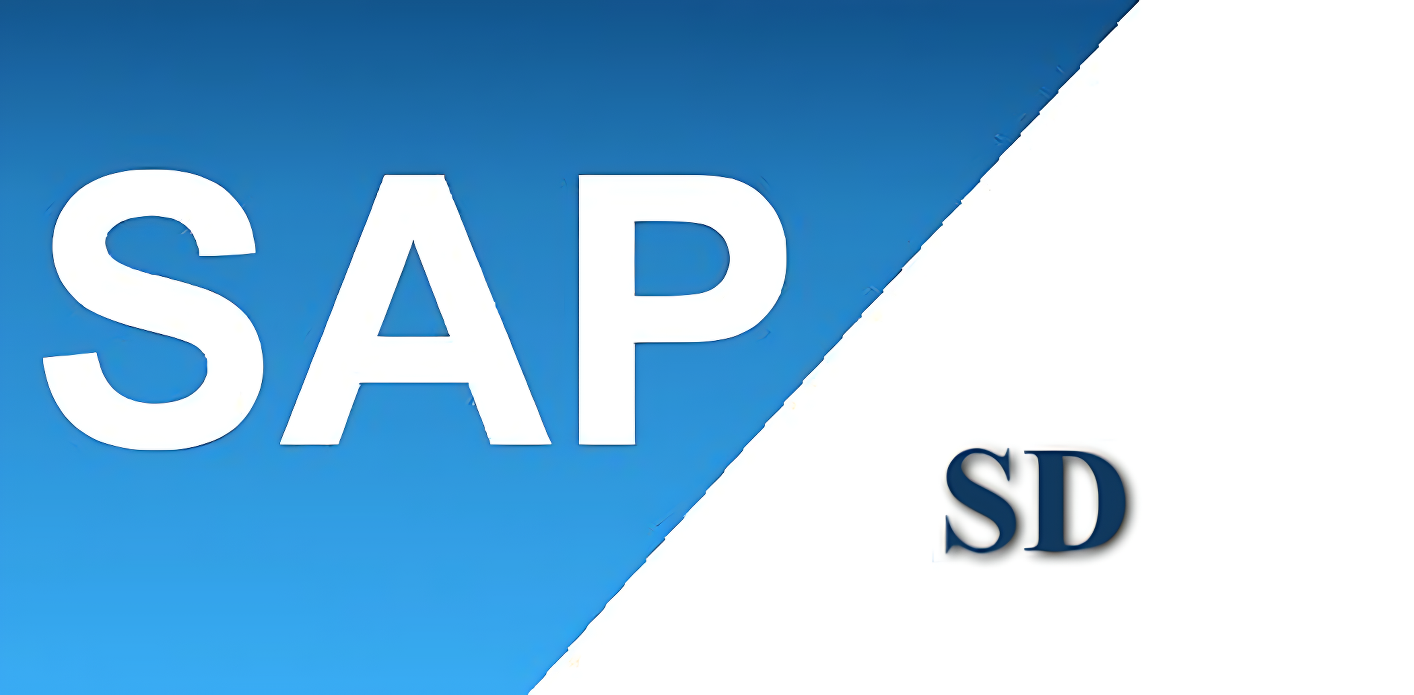 Best SAP SD Institute in India